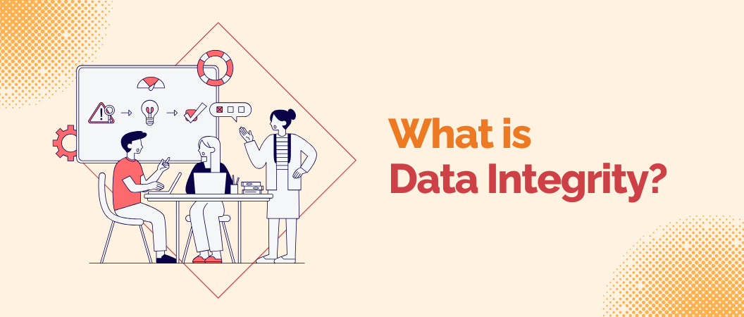 What is Data Integrity?