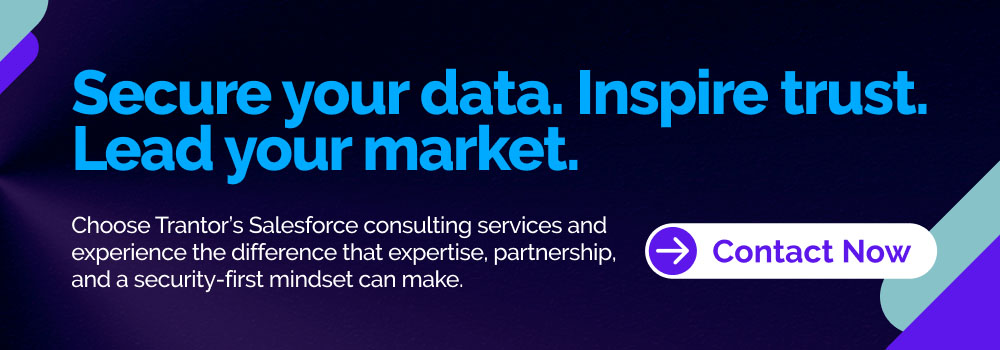 Trantor Salesforce consulting services, a "Contact Now" button.